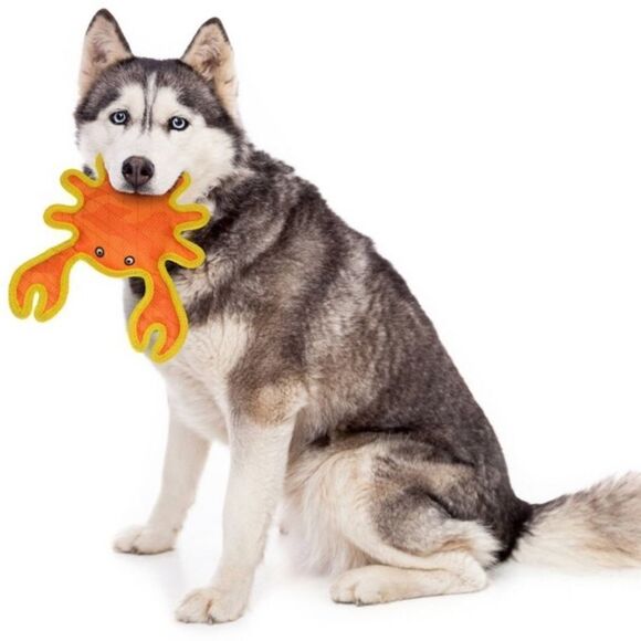 DuraForce Orange Yellow Crab Dog Toy - Picture 2 of 11